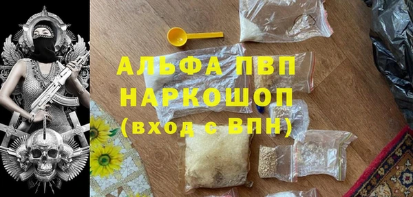 хмурый Абаза