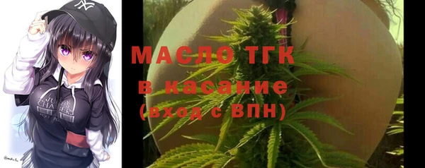 хмурый Абаза