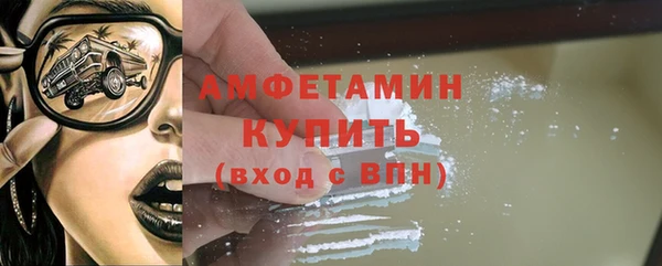 прущий лед Новозыбков
