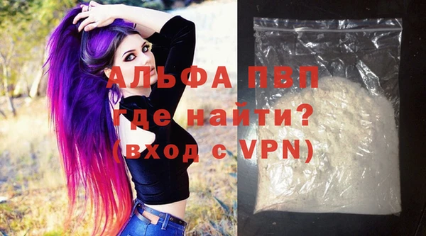 хмурый Абаза