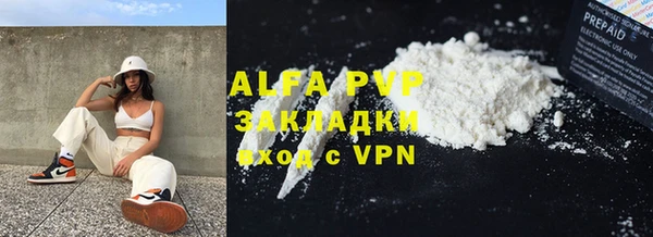 хмурый Абаза