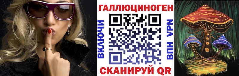 закладки  Камызяк  Псилоцибиновые грибы мицелий 