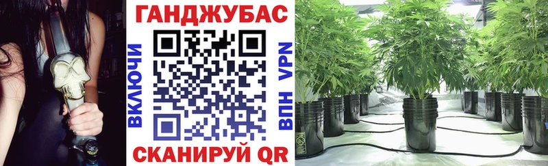 Конопля Ganja Камызяк